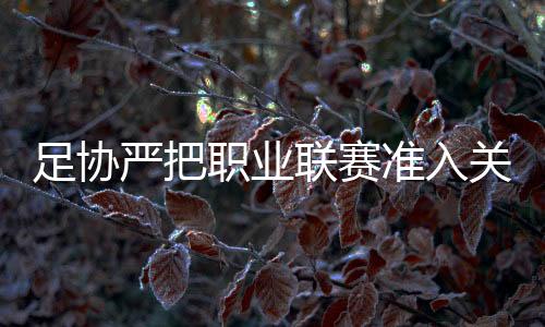 亦需要满足其他各类准入条件
