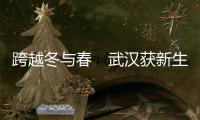跨越冬与春　武汉获新生