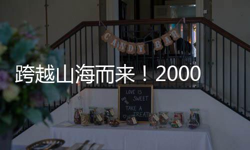 星光与篝火相映生辉