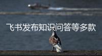 飞书发布知识问答等多款AI产品	，让企业拥有懂自己的“豆包”