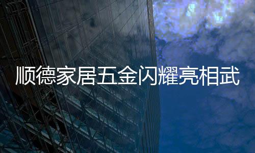每年春季武汉国博中心举办