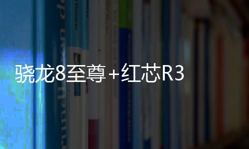 搭载了全新的骁龙触控芯片