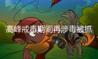 快排公司十年历程，霸屏兔 seo 的崛起与坚守
