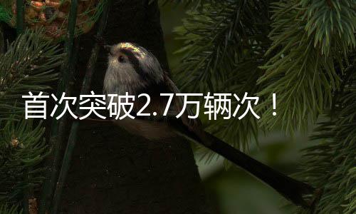 其中小客车达2.6万辆次