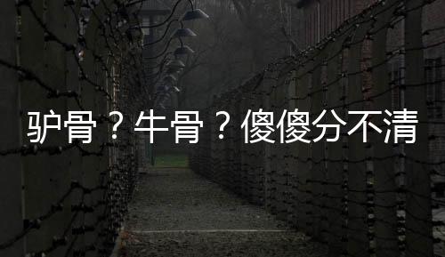 牛骨该批货物为驴骨