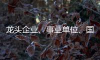 龙头企业、事业单位、国企…珠海全年推出超5万个优质岗位，60个百万以上年薪岗位