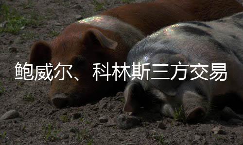 热火快船在对位方面明显吃亏