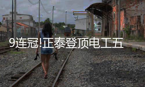 正泰电商服务客户50万+人次