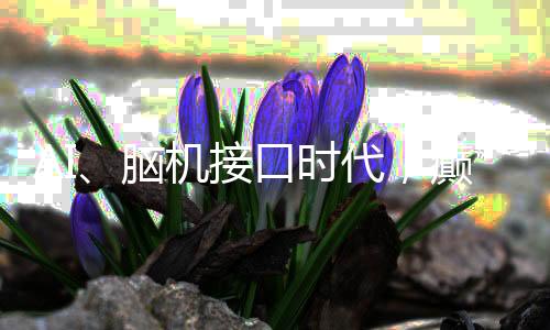 上海举办国际癫痫关爱日活动