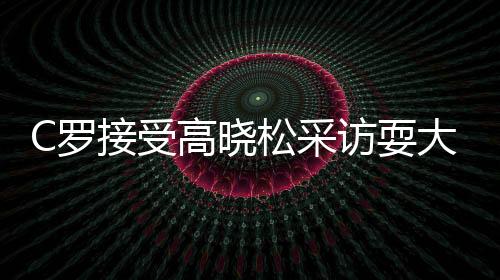我在现场做备用翻译