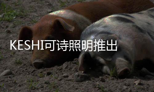 因为这款产品采用了快装结构