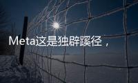 Meta这是独辟蹊径
，还是病急乱投医？