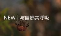 NEW ▏与自然共呼吸，与家人贴近自然澄净之美