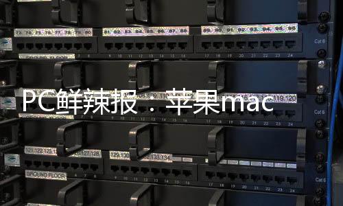 两款游戏掌机均运行Windows11