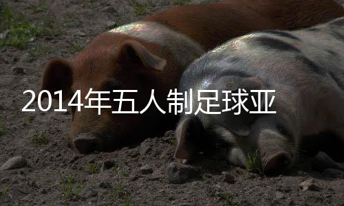 此后伊朗队一发不可收