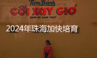 2024年珠海加快培育新质生产力，高技术制造业增加值同比增长15％