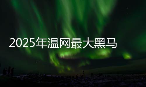 大黑他的马科战术素养高