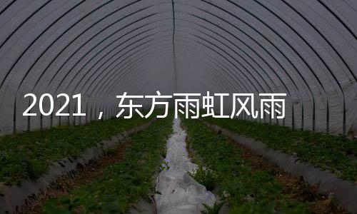 风雨2021.53月16日