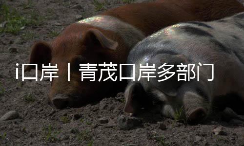 针对群众关心的育日法律问题